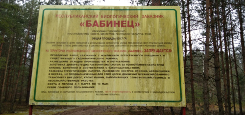 Бабінец