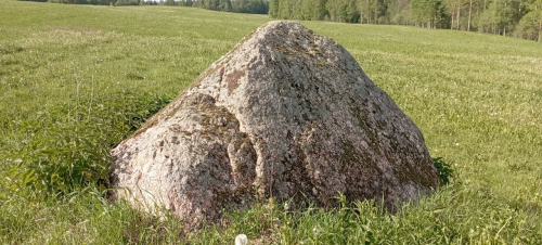 Lidin Kamen Grechushinsky boulder