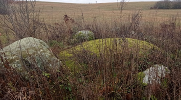 Starodvorsky boulder