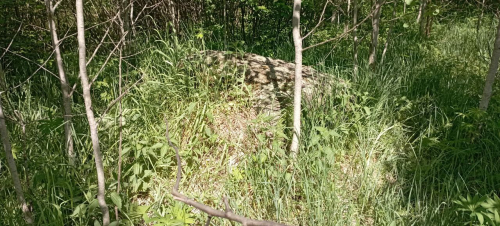 Izbishchensky Bolshoj Kamen