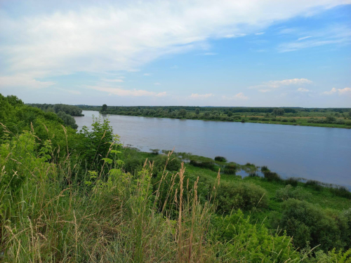 Mid-Pripjat Nature Reserve