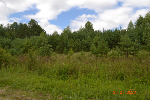 Gora Bojarovshchina hill