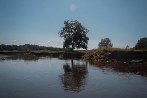 Vydrica Nature Reserve