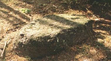 Bolshoj Kamen Pashevichsky boulder