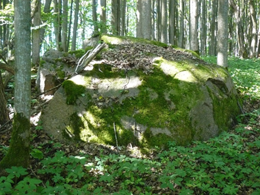 Chertov Kamen Richevsky boulder