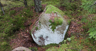 Chudodeistvennyj Kamen Stashelishsky boulder