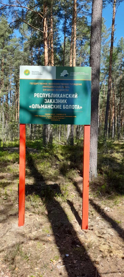 Olmany Mires Nature Reserve