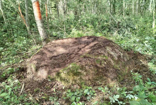 Zaharov Kamen boulder