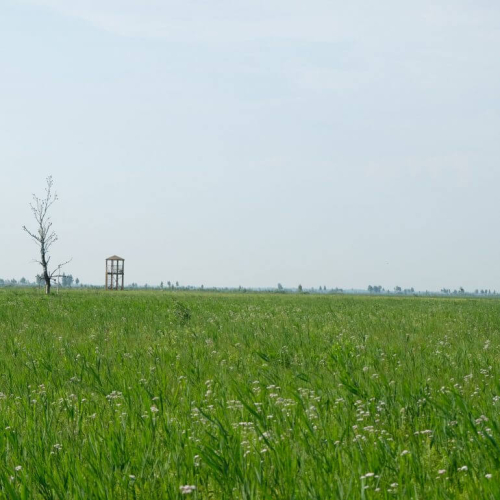 Zvanec Nature Reserve