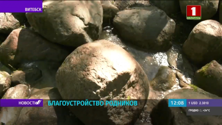 Источник Иоанна Крестителя в пойме Витьбы облагородили