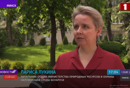 
 Защитить Беловежскую пущу | Новости | Беларусь 1 | выпуск от 2 июня 2022 г.
 