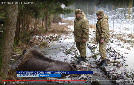 КРУГЛЫЙ СТОЛ: «НЕТ ЗАБОРУ!» | ТРК Брест