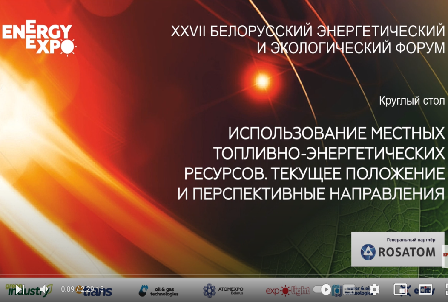 Круглый стол «Использование местных топливно-энергетических ресурсов. Текущее положение и перспективные направления»