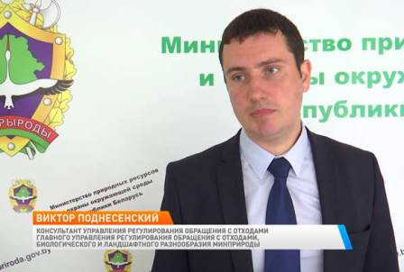 Сортируем правильно. Какой мусор является опасным отходом?