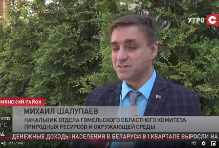 «Обработано около 40% площадей» – в Гомельской области уничтожают борщевик Сосновского | Новости «24 часа» | СТВ | выпуск от 17 мая 2024 г.