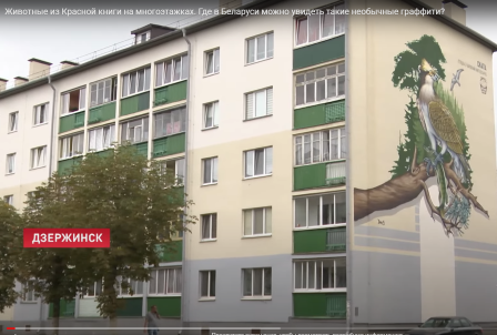 Животные из Красной книги на многоэтажках. Где в Беларуси можно увидеть такие необычные граффити?