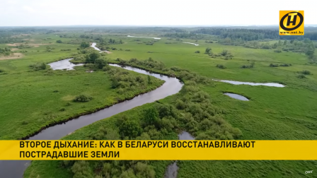 
 Что делают в Беларуси для сохранения экосистем и возвращения земель в оборот?
 