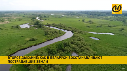 
 Что делают в Беларуси для сохранения экосистем и возвращения земель в оборот?
 