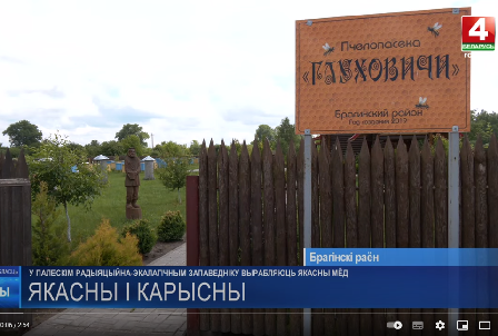Под Брагином с загрязнённой радиацией территории получают качественный мёд без радионуклидов || Беларусь 4/Телерадиокомпания Гомель