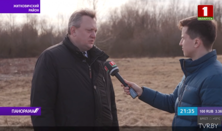 Популяцию туроподобных быков восстанавливают в Беларуси. Панорама