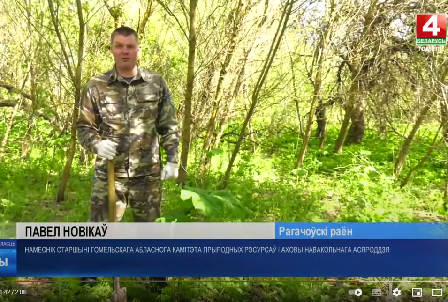 Борщевик наступает! Узнали, как жители Гомельщины борются с ним на огородах | Навіны | Беларусь 4/Телерадиокомпания Гомель | выпуск от 22 мая 2024 г.