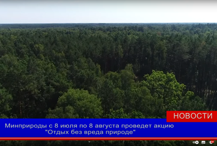 Минприроды с 8 июля по 8 августа проводит акцию «Отдых без вреда природе»