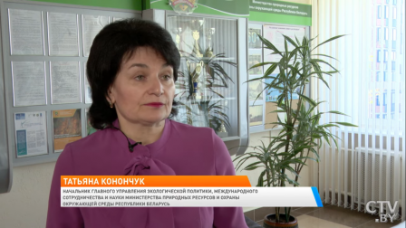 Что можно сделать, чтобы спасти экологию