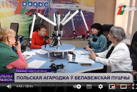 Польский забор в Беловежской пуще | Представители Минприроды в эфире Белорусского радио