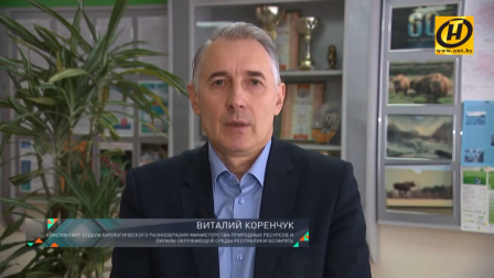 О запрете выжигания сухой растительности