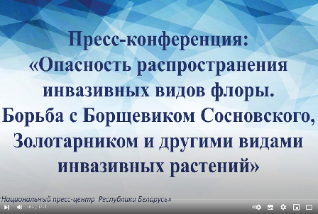 Опасность распространения инвазивных видов флоры. Борьба с борщевиком Сосновского, золотарником и другими видами инвазивных растений