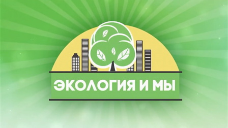 ЭКОЛОГИЧЕСКОЕ ОБРАЗОВАНИЕ