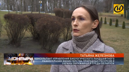 Рекордно тёплая зима: что она несёт животному миру?