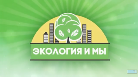 Экология и МЫ