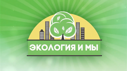 Всемирный день окружающей среды - 2020