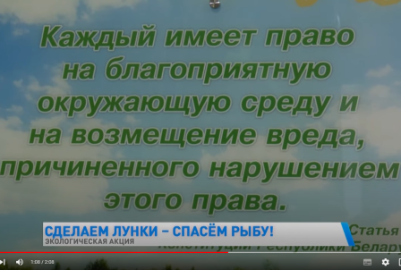 Делают лунки, чтобы рыбе поступал кислород. В Беларуси проводят экологическую акцию