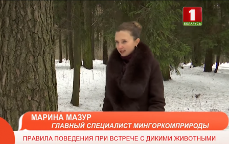 Правила поведения при встрече с дикими животными